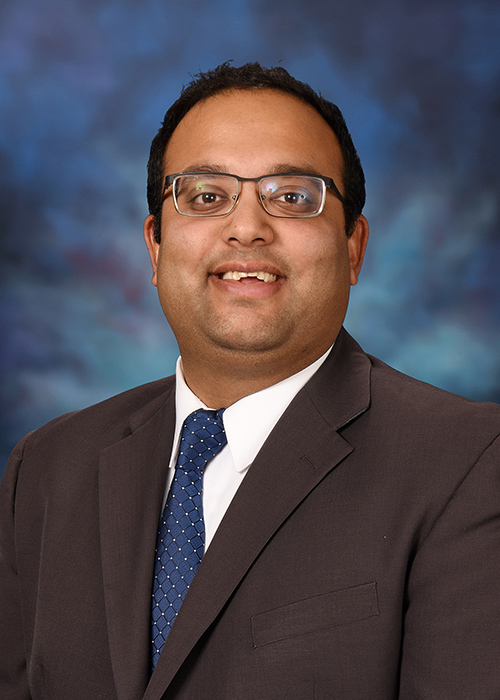 Photograph of Senator  Ram Villivalam (D)